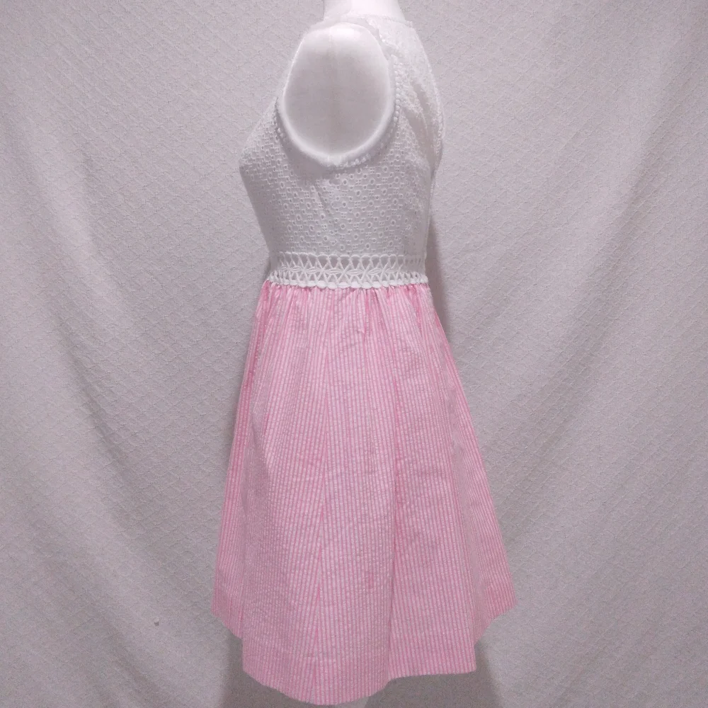Lilly Pulitzer Alivia Havana Pink Yarn Dye Seersucker Dress with Pockets - Picture 4 of 12